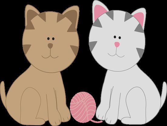 how to make a cat and cat