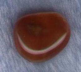 Astromineralogy lessons: carnelian, magic properties of a stone