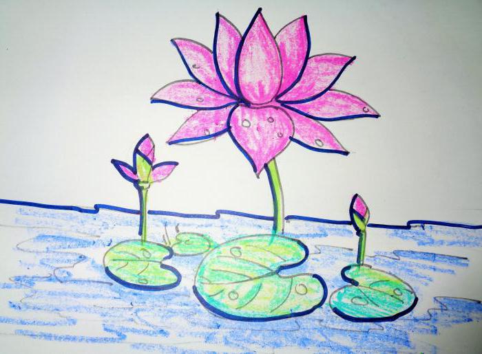 How to draw a lotus: A Beginner's Guide