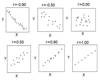 The results of the correlation analysis
