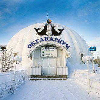 entertainment in Murmansk