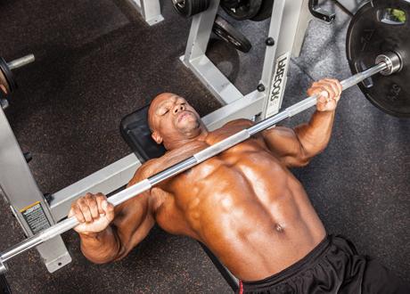 What are the bench press standards?