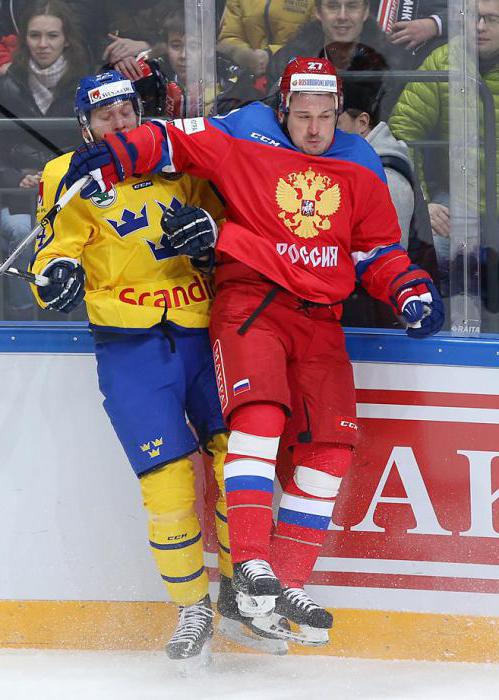 Russian hockey player Igor Grigorenko: biography and sports career