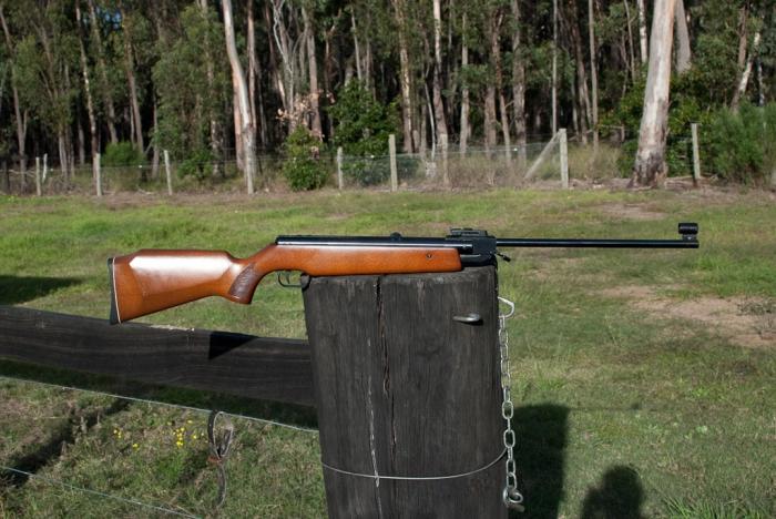 Rifle Rifle: rules of choice, history and some recommendations